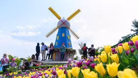 Rực rỡ sắc hoa, ấn tượng triển lãm Phật giáo, Núi Bà Tây Ninh bội thu khách Tết Nhâm Dần