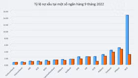 Mirae Asset: Nợ xấu ngân hàng đang phân hoá