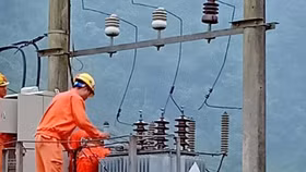 Chuyện lạ đấu thầu tại Điện lực Gia Lâm: 2 gói thầu lớn có dấu hiệu gian lận