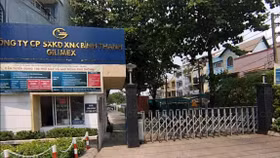 Xuất nhập khẩu Bình Thạnh dự kiến phát hành 1 triệu cổ phiếu ESOP