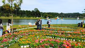 Festival hoa Đà Lạt năm 2022 sẽ diễn ra trong suốt 2 tháng