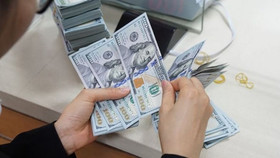 Tỷ giá ngoại tệ ngày 19/5: Đồng USD tăng trở lại sau 3 phiên "rơi" khỏi đỉnh