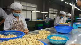 Từ nhập siêu Việt Nam chuyển sang xuất siêu với Campuchia