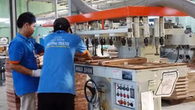 Tân Liên Phát không còn là cổ đông lớn của Gỗ Trường Thành
