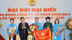 Sông Đà 9 triển khai đề án tái cấu trúc và chuyển đổi số