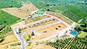 Phân lô bán nền bùng phát, Lâm Đồng tạm dừng giải quyết hồ sơ tách thửa