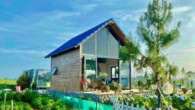 Bùng nổ xu hướng “Farm” trong bất động sản