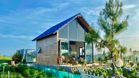 Bùng nổ xu hướng “Farm” trong bất động sản