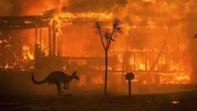 Một sinh viên đệ đơn kiện chính phủ Úc vì các vấn đề biến đối khí hậu