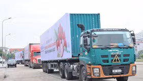 Tập trung tháo gỡ khó khăn logistic thương mại điện tử, đảm bảo lưu thông hàng hoá