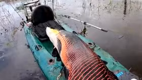 Sững sờ khi câu được... "thủy quái" nặng khoảng 100kg