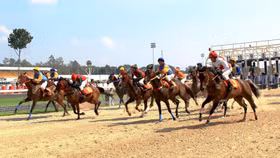 Kiến nghị cho phép cá cược thể thao