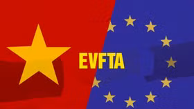 04 điều kiện áp dụng thuế suất xuất khẩu ưu đãi theo Hiệp định EVFTA