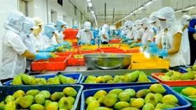 Xuất khẩu rau quả 11 tháng năm 2020 tiếp tục giảm