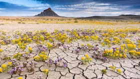 Tương lai mới cho bộ 3 kiểm soát đặc biệt TTF, JVC và PNC