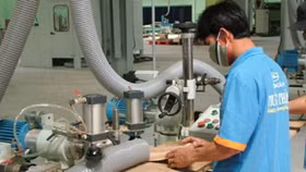 Cổ phiếu TTF bất ngờ tăng 20% sau thông tin hợp tác với Sam Holdings