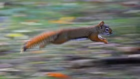 Thị trường đỏ lửa giảm mạnh, nhóm cổ phiếu đầu cơ OGC, HAR, FIT... bỗng "nổi sóng"