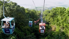 Cáp treo Núi Bà Tây Ninh tạm ứng 40% cổ tức bằng tiền