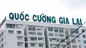 Bà Lại Thị Hoàng Yến bán chui cổ phiếu QCG do lỗi đánh máy?