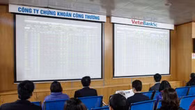 Bộ đôi HNG & HAG "ăn mòn" 72% lợi nhuận quý 3 của VietinbankSC