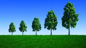 BHN tăng hơn 6.000 đồng, sắc xanh bao phủ 3 sàn trong sáng đầu tuần