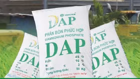 DAP - VINACHEM đã có lãi sau 6 quý liên tục thua lỗ