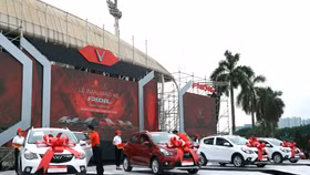 Vingroup báo lãi 6.821 tỷ đồng, doanh thu nghìn tỷ từ ô tô và điện thoại