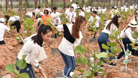 Tập đoàn FLC phát động chiến dịch Xanh trên toàn hệ thống