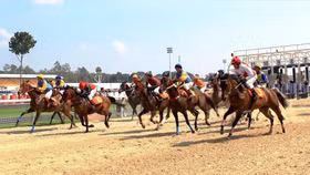 Tập đoàn Charmvit hối thúc Hà Nội làm dự án trường đua ngựa 420 triệu USD