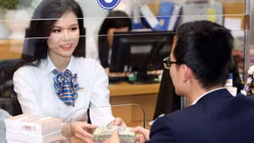 Ngành ngân hàng 2017: Khởi sắc nhưng vẫn còn nỗi lo “vốn mỏng”