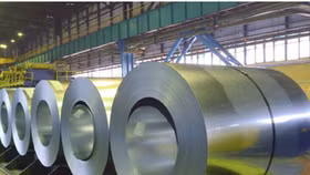 Nhóm Dragon Capital lại trở thành cổ đông lớn của Hoa Sen