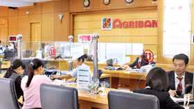 Agribank xiết nợ đất và quyền khai thác khoáng sản của Công ty Khoáng sản Miền Trung