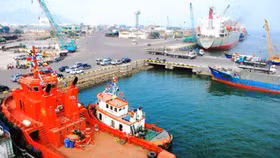 Con trai ông Trần Bắc Hà bất ngờ từ chức Thành viên HĐQT Cảng Quy Nhơn