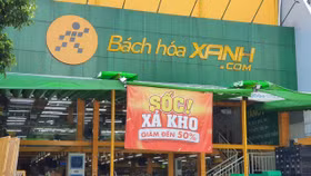 Bách Hoá Xanh: Doanh thu 8 tháng giảm 15%