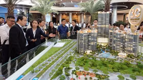 NovaGroup giới thiệu kế hoạch phát triển với hàng ngàn đối tác