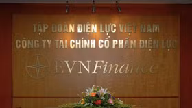 EVN bán thành công 2,65 triệu cổ phần tại EVN Finance