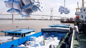 Tạm dừng thông quan xuất khẩu gạo