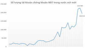 Tài khoản chứng khoán cá nhân mở mới giảm mạnh trong tháng 1/2022