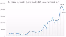Tài khoản chứng khoán cá nhân mở mới giảm mạnh trong tháng 1/2022
