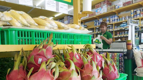 “Chuỗi ngày bết bát” của Hoàng Anh Gia Lai ngày càng nối dài