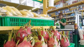 “Chuỗi ngày bết bát” của Hoàng Anh Gia Lai ngày càng nối dài