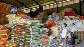 Một doanh nghiệp bày bán 2,5 tấn phân bón có dấu hiệu vi phạm nhãn hàng hóa