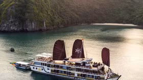 Hơn 500 tàu du lịch Hạ Long "tiến thoái lưỡng nan", lo phá sản