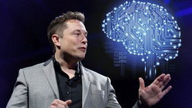 Elon Musk có kế hoạch cấy chip điện tử não vào bộ não con người