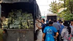 Doanh nhân Nam Sách tại phía Nam chung tay "giải cứu" nông sản Hải Dương