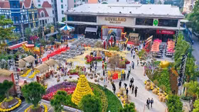 Mới, lạ Hội hoa xuân 2022 tại Novaland Gallery