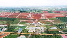 Lâm Đồng lập tổ công tác rà soát dự án tách thửa tại Bảo Lộc, Bảo Lâm