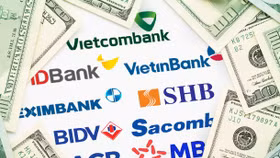 Ngân hàng nào lãi nhiều nhất từ kinh doanh ngoại hối quý I/2022?