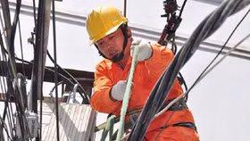 Đầu năm 2021, khách hàng có thể được mua điện một giá