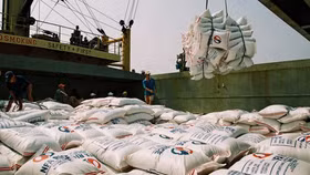 Ấn Độ cấm xuất khẩu gạo, Bộ Công Thương chỉ đạo khẩn